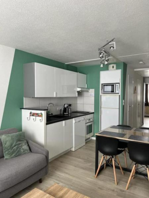 Appartement la Mongie pied des pistes 7 personnes